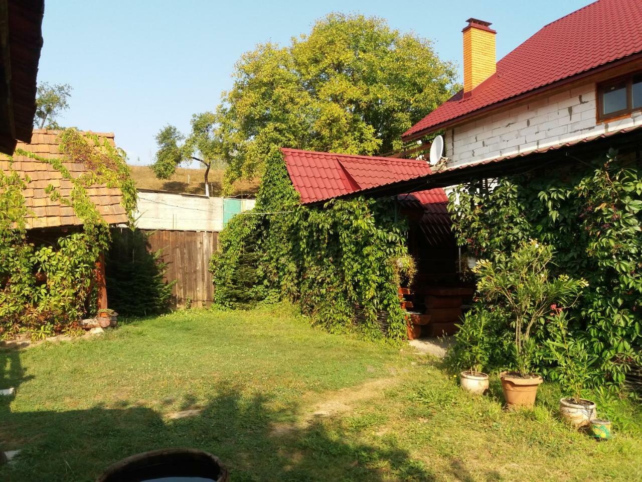 Садиба У Васі Svaliava Buitenkant foto