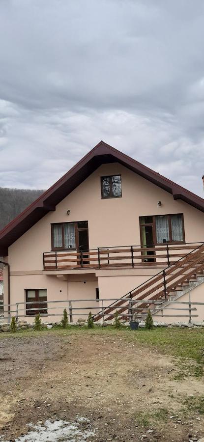 Садиба У Васі Svaliava Buitenkant foto